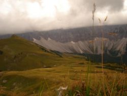 2013-09-08_6Falkenh-Steinfalk (246).JPG